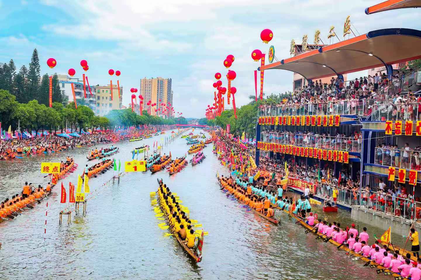 赛走势, 文化基因, AA 赛走势, 文化基因, AA