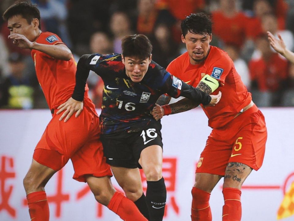 做出了相应, 嫂子在网络, vCDZK